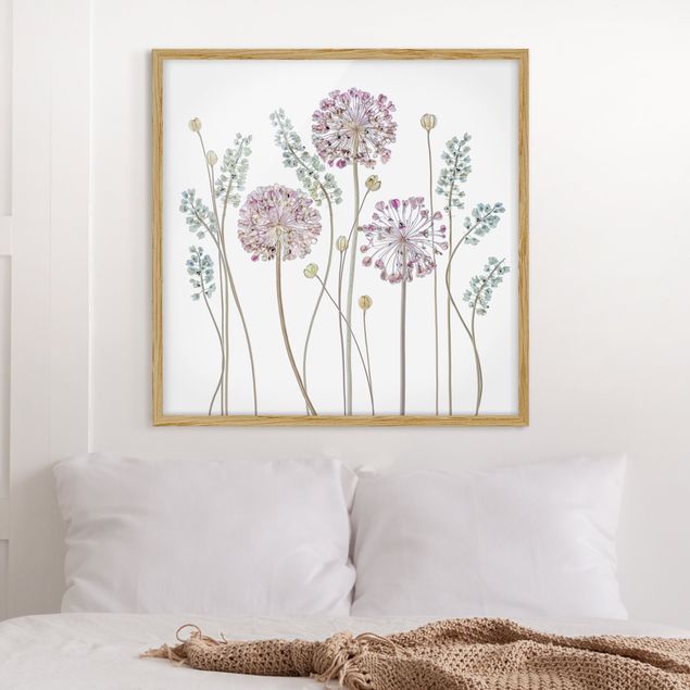 Bilder gerahmt Blumen Allium Illustration