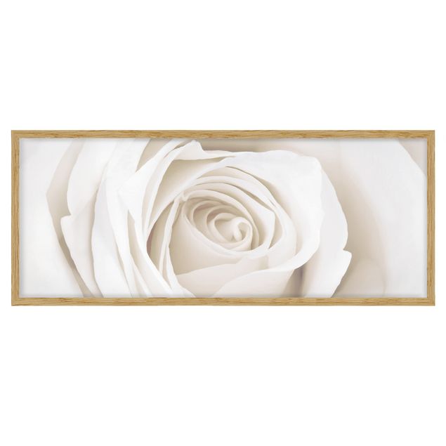 Bilder mit Rahmen Pretty White Rose