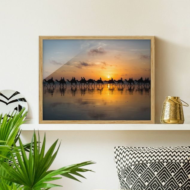 Moderne Bilder mit Rahmen Kamele im Sonnenuntergang