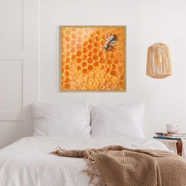 Bilder Honey Bee