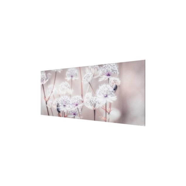 Glasbild - Federleichte Wildblumen - Panorama