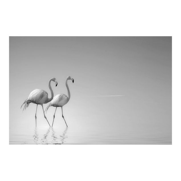 Fototapete selbstklebend Flamingo Love Schwarz-Weiß