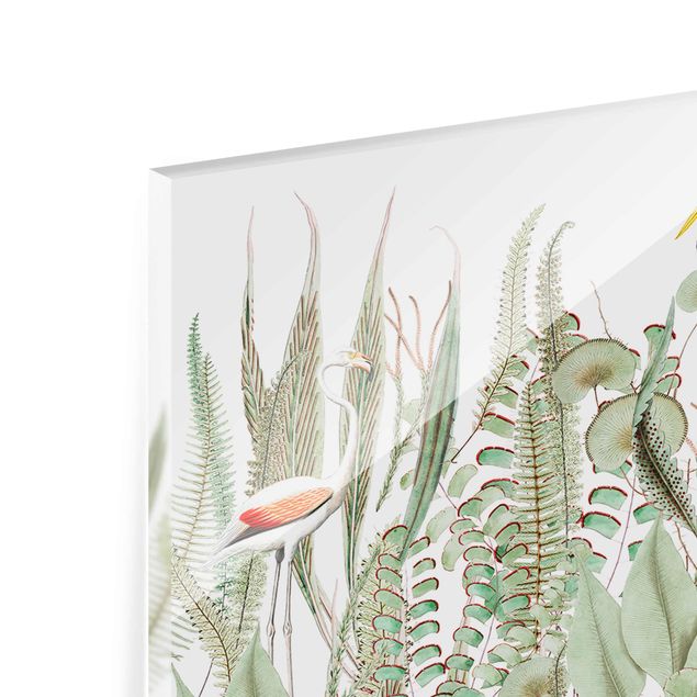 Glasbild - Flamingo und Storch mit Pflanzen - Panorama