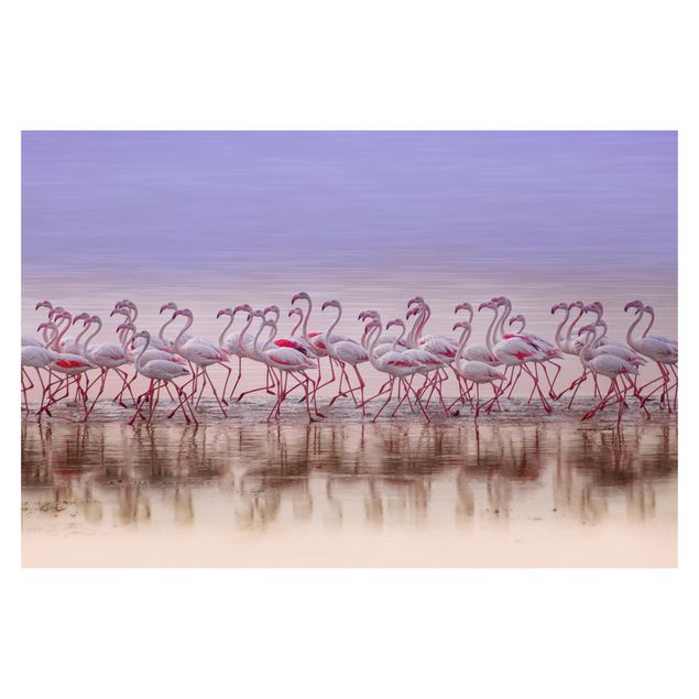 selbstklebende Tapete Flamingo Party