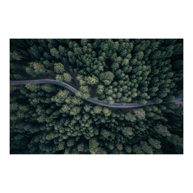 selbstklebende Tapete Luftbild - Waldstraße von Oben