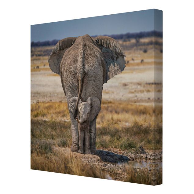 Leinwandbilder Frecher Elefant