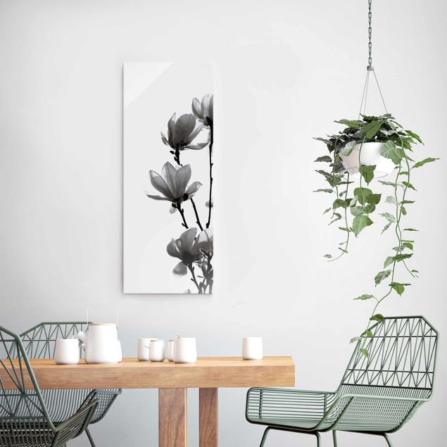 Glasbilder Blumen Frühlingsbote Magnolie Schwarz Weiß