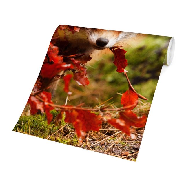 Tapete selbstklebend Fuchs im Herbst