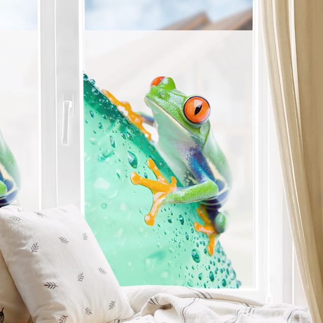 Tier Fensterbilder Frog