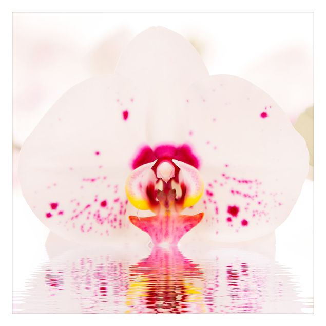 Fototapete selbstklebend Gepunktete Orchidee auf Wasser