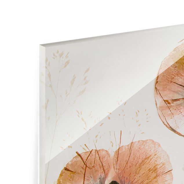 Glasbild - Getrocknete Mohnblüten mit zarten Gräsern - Quadrat