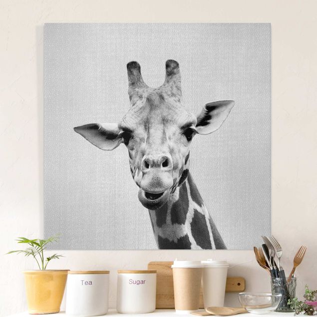 schwarz-weiß Bilder auf Leinwand Giraffe Gundel Schwarz Weiß