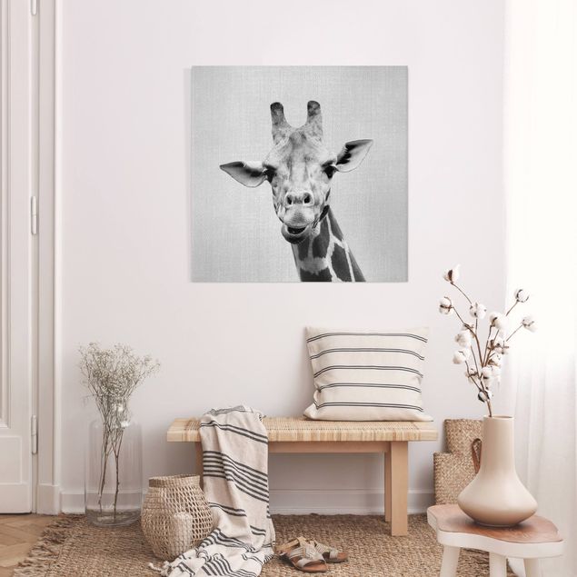 Tierbilder Leinwand Giraffe Gundel Schwarz Weiß
