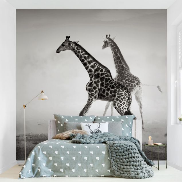 Design Tapeten Giraffenjagd