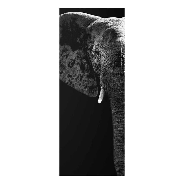 Bilder auf Glas Afrikanischer Elefant schwarz-weiss