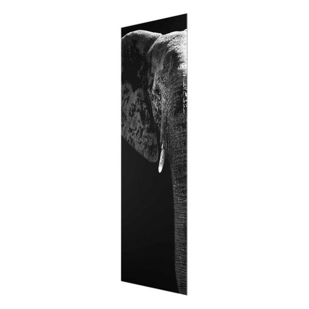 Glasbild - Afrikanischer Elefant schwarz-weiss - Panorama Hoch