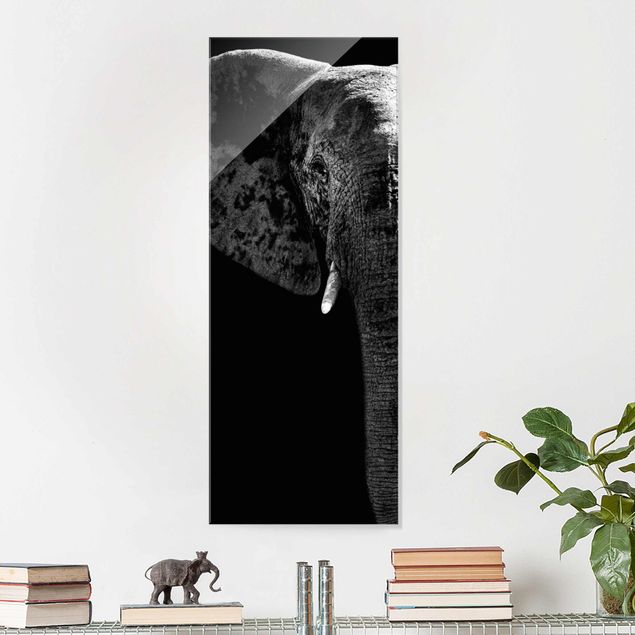 Glasbilder Schwarz-Weiß Afrikanischer Elefant schwarz-weiss