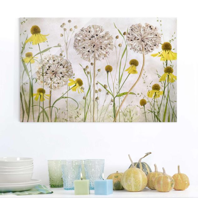 Glasbilder Blumen Allium und Helenium Illustration
