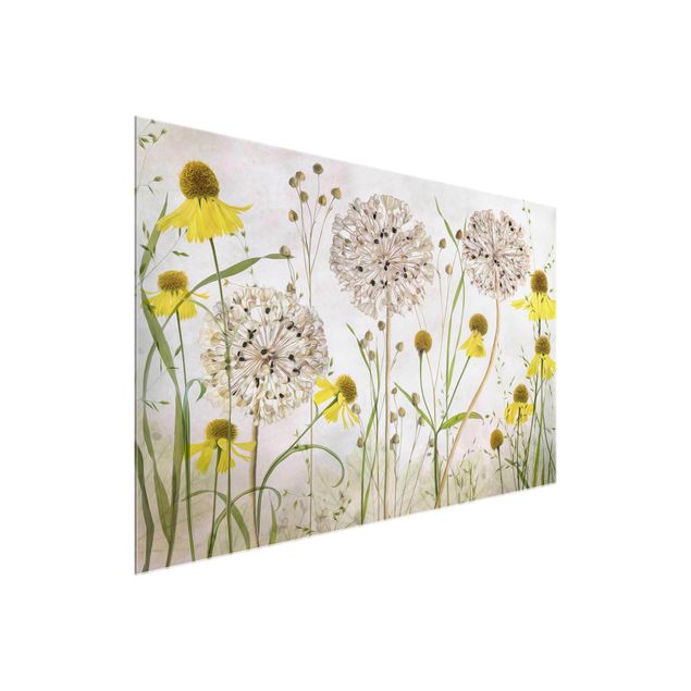 Glas Wandbilder Allium und Helenium Illustration