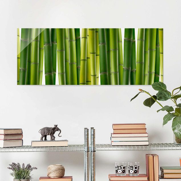 XXL Glasbilder Bambuspflanzen