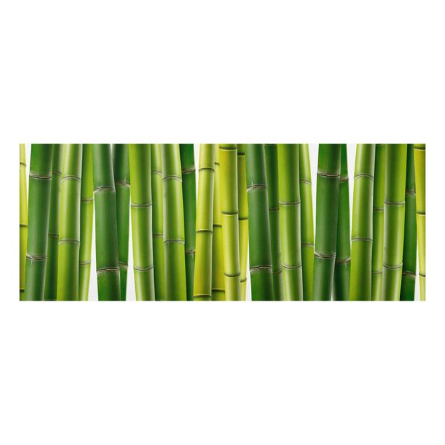 Bilder auf Glas Bambuspflanzen
