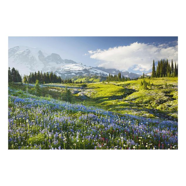 Rainer Mirau Bilder Bergwiese mit blauen Blumen vor Mt. Rainier