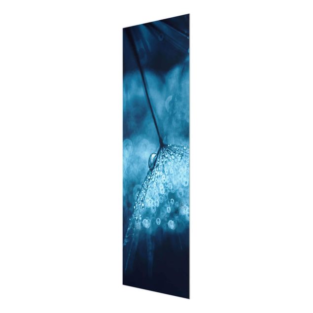 Glasbild - Blaue Pusteblume im Regen - Panel