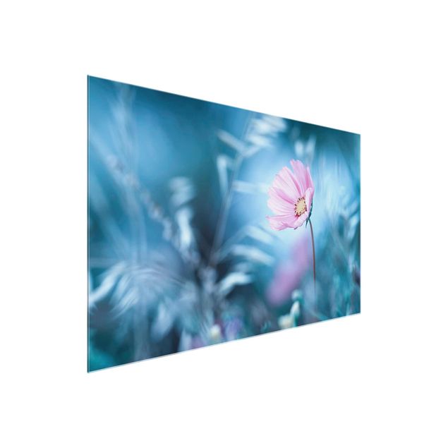 Glasbilder Blüte in Pastell