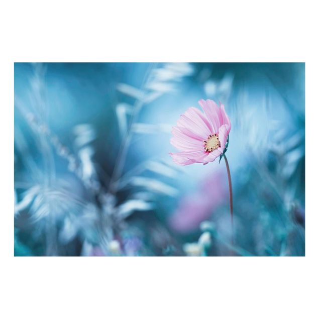 Glasbild - Blüte in Pastell - Quer 3:2