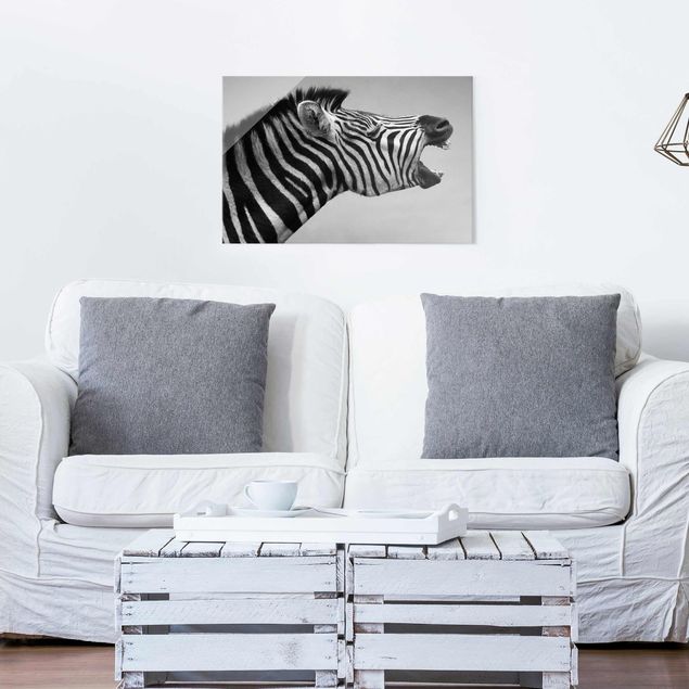Glasbilder Schwarz-Weiß Brüllendes Zebra II