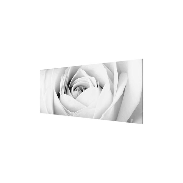 Glasbild - Close Up Rose - Panorama Quer
