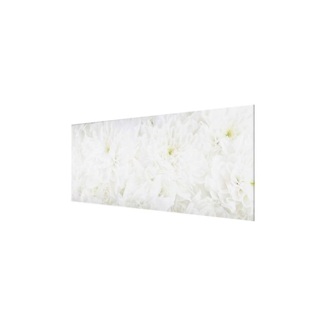 Glasbild - Dahlien Blumenmeer weiß - Panorama Quer