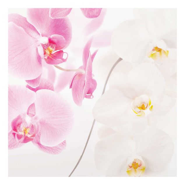 Glasbild - Delicate Orchids - Quadrat 1:1