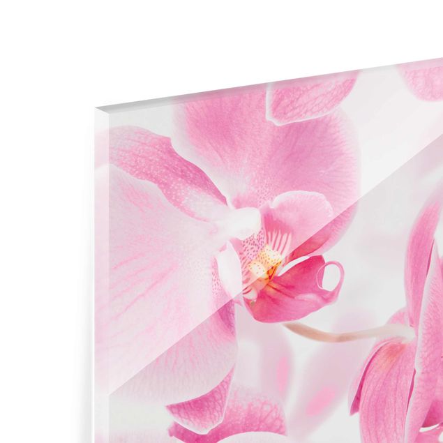 Glasbild - Delicate Orchids - Quadrat 1:1