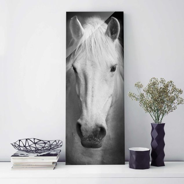 Glasbilder XXL Dream of a Horse
