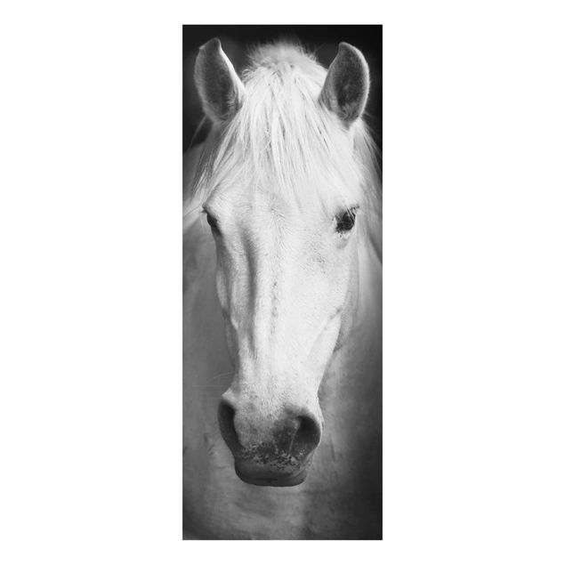 Glasbilder Dream of a Horse