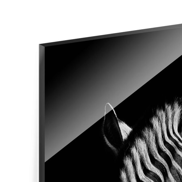 Glasbild - Dunkle Zebra Silhouette - Hochformat 3:2