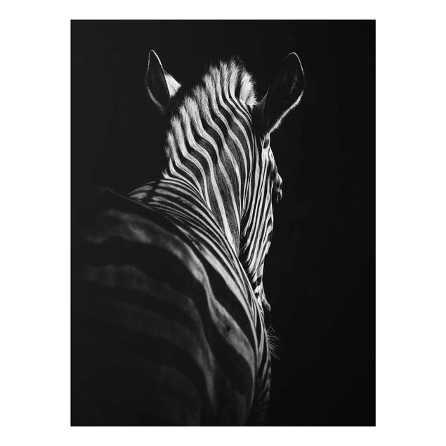 Glasbilder Dunkle Zebra Silhouette
