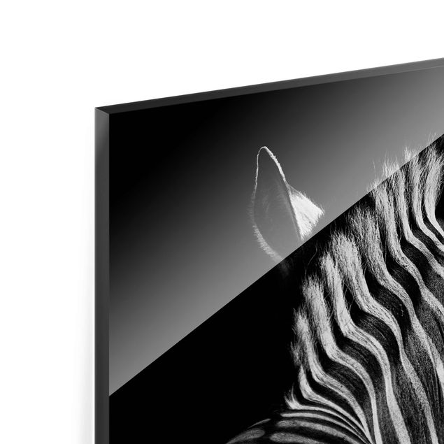 Glasbild - Dunkle Zebra Silhouette - Hochformat 4:3