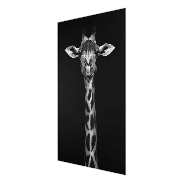 Glasbild - Dunkles Giraffen Portrait - Hochformat 3:2