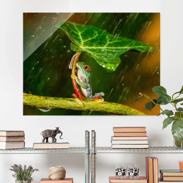 XXL Glasbilder Ein Frosch im Regen