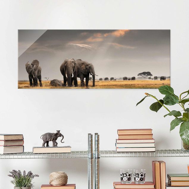 XXL Glasbilder Elefanten der Savanne