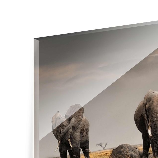 Glasbild - Elefanten der Savanne - Panorama Quer