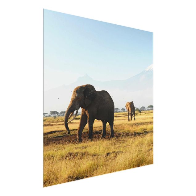 schöne Bilder Elefanten vor dem Kilimanjaro in Kenya