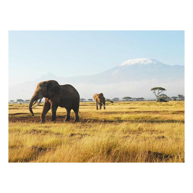 Glasbild - Elefanten vor dem Kilimanjaro in Kenya - Panorama Quer