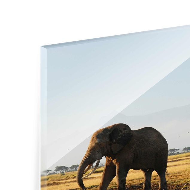 Glasbild Afrika - Elefanten vor dem Kilimanjaro in Kenya - Quer 4:3
