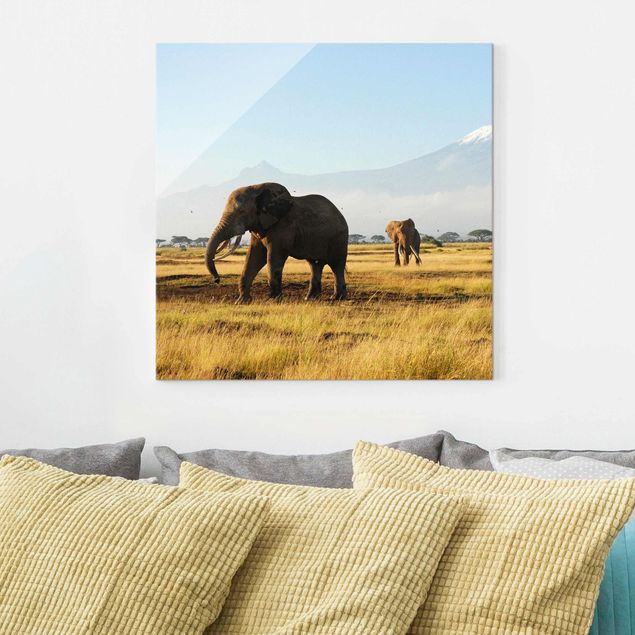 Glas Wandbilder XXL Elefanten vor dem Kilimanjaro in Kenya