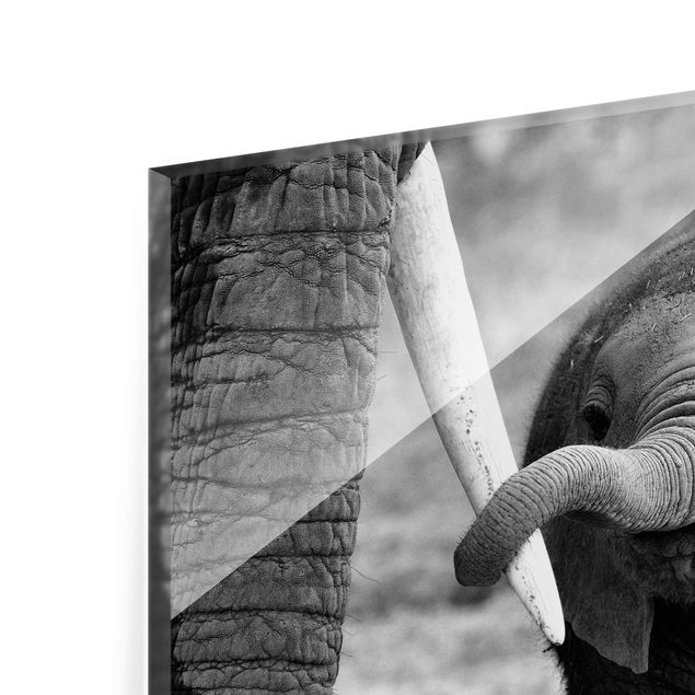 Glasbild - Elefantenbaby - Quer 3:2