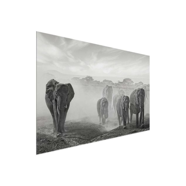 Bilder Elefantenherde