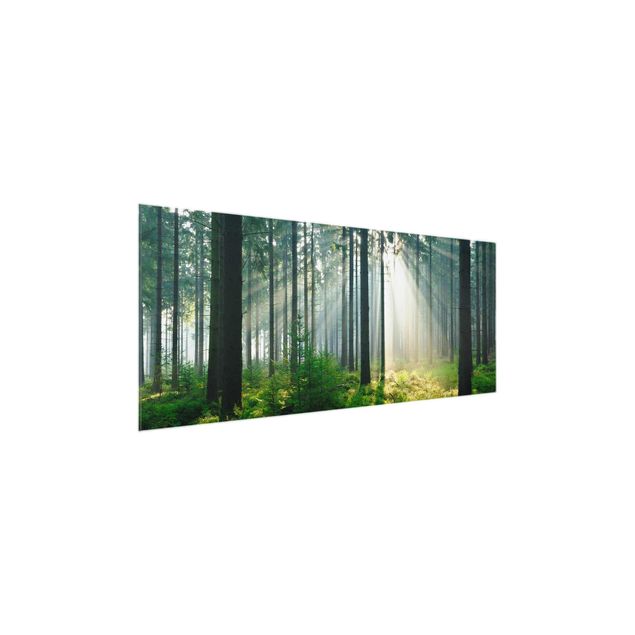 Glasbilder Enlightened Forest